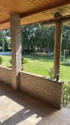 Top Araucária