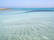 Top Morciano di Leuca