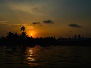 Top Alleppey