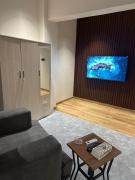 Modern Master Room Modern Master Room