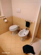 Top Trieste Top Trieste