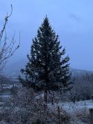 La Terrasse du Serre