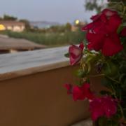 Top Laganas Top Laganas