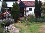 Top Bardwell