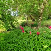 Top Bourbon-lʼArchambault