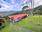 Top La Vega