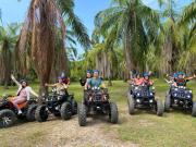 Top Balik Pulau