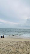 Top Alleppey