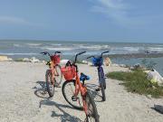 Top Balik Pulau