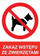 Top Katowice Top Katowice