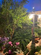 Top Gallipoli Top Gallipoli