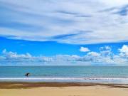 Sunee Seafood Bungalow