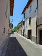 Top Galeata