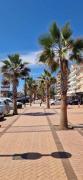 Top Fuengirola