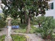 Top Monterosso al Mare