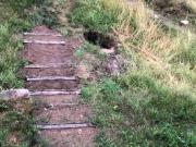 Top Wierzchownia Top Wierzchownia