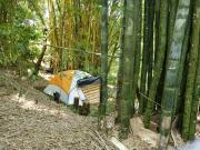 Top Cuetzalan del Progreso