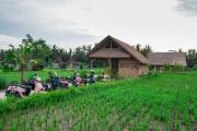 Top Ubud