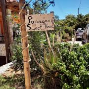 Panagaris Sweet Home