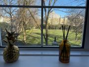 Royal Pavilion Garden Apartment with Parking Royal Pavilion Garden Apartment with Parking