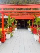 Eco Floating Stay Cai Beo