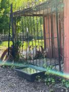 Top La Ferté-Gaucher