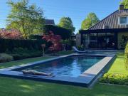 Nachtegaal Nachtegaal