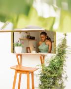 Glamping Haven Resort