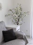 Palm Beach Studio Right Next To The Sea