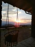 Top Bedollo Top Bedollo