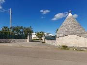 Top Alberobello