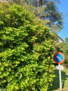 Top Castellón de la Plana