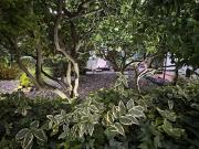 Apartments - Rooms VESNA