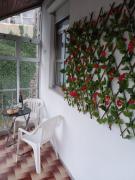 Top Tarouca Top Tarouca