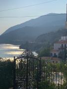 Top Plomarion