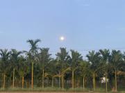 Top Coimbatore