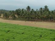 Top Coimbatore