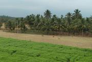 Top Coimbatore