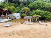 Blue Whale Diving Rest