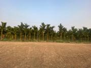 Top Coimbatore