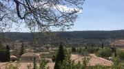 Top Salernes