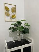 Citra Solong Homestay
