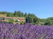 Top Simiane-la-Rotonde