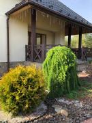 Top Skhidnitsa Top Skhidnitsa