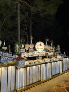 Pine Vista Resort !! A Complete Resort withFacilities # A Beautiful Mountain View # Best Selling Property