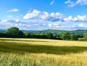 Top Clifton upon Teme