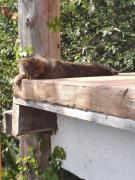 Top San Marcos La Laguna