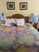 Chrisanns beach resorts