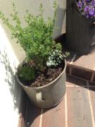 Top Zalaszentmihály