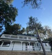 Top Crestline